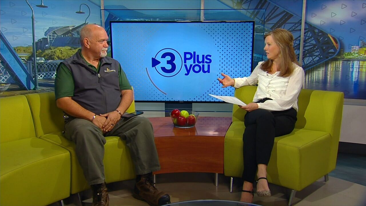 3 Plus Your Home- The Honey Do Service